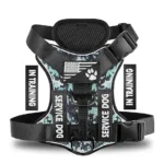 Dg-09M Reflective Harness