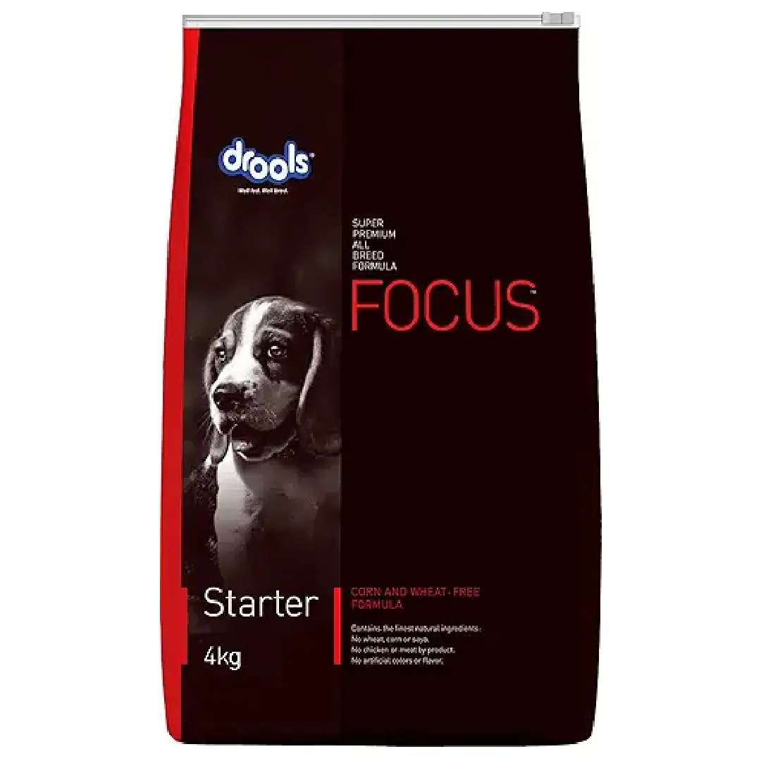 Drools Focus Starter