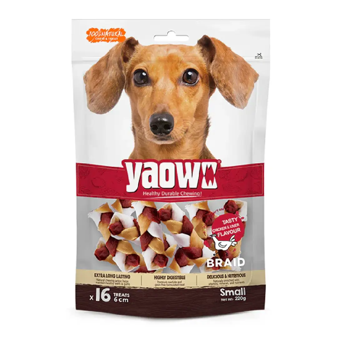 Gnawlers Yaowo Gnawlers Braided Dog Treats