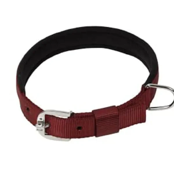 KENNEL F40 P COLLAR