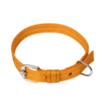 Kennel F66Nylon Pattern Collar 1-1/4"