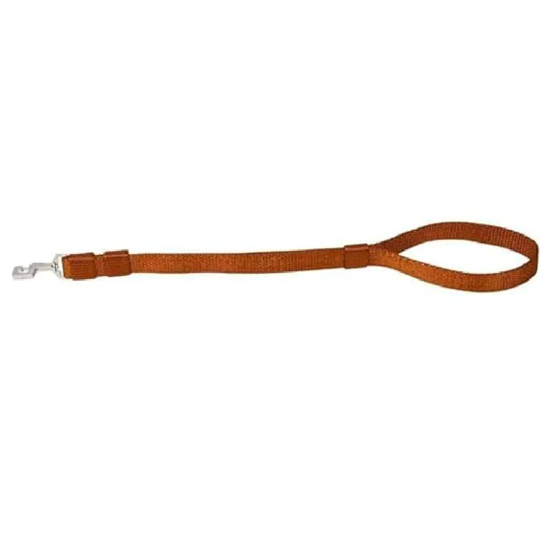 Kennel Premium Nylon Short Collar