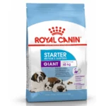 Royal Canin Giant Range Starter