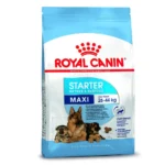 Royal Canin Maxi Starter Baby Pellet Dog Food